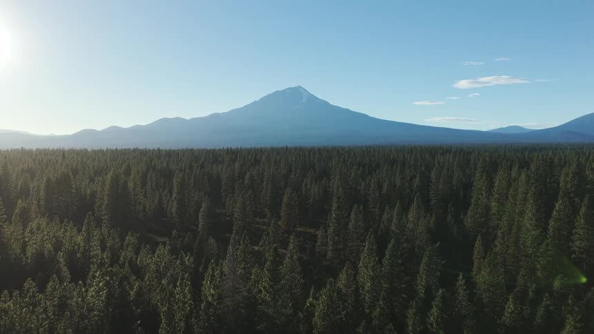 An epic aerial shot slowly pulls back over a vast evergreen forest with a majestic, snow-capped mountain on the horizon under a bright sun