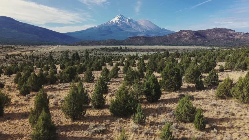 A slow aerial pullback reveals a vast high desert landscape of juniper trees with the magnificent snow-capped Mount Shasta in the background