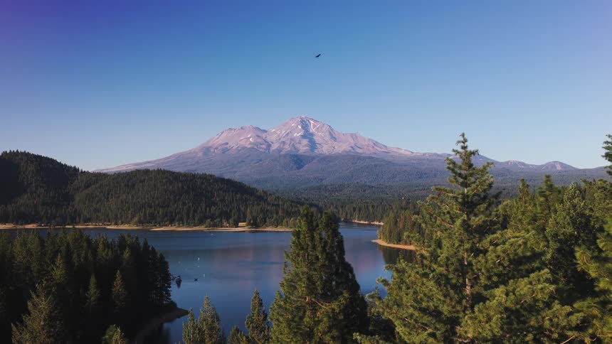 An aerial view reveals the majestic Mount Shasta overlooking the tranquil Lake Siskiyou, rising above a lush evergreen forest on a clear day