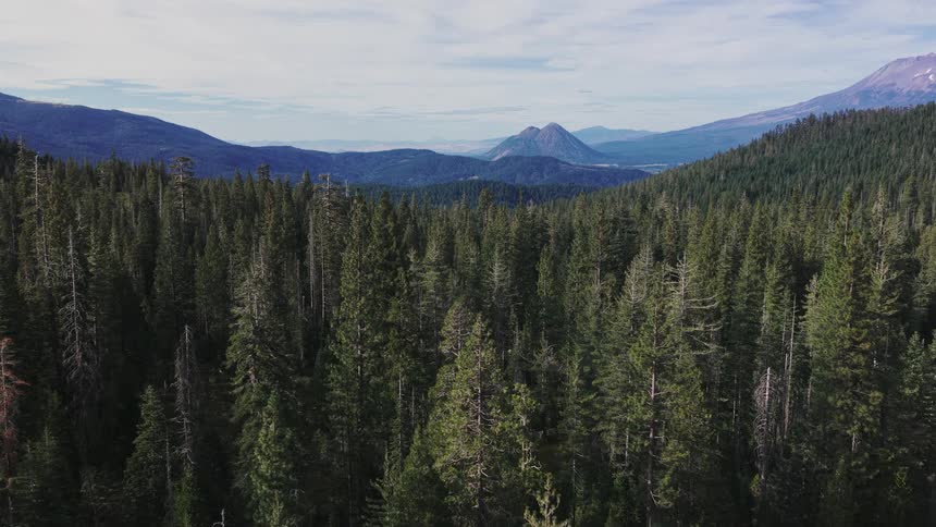 An expansive aerial view slowly reveals a dense evergreen forest nestled in a valley with majestic mountains on the horizon