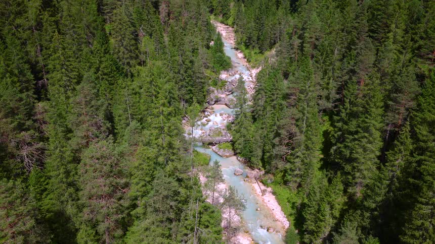 A static high-angle aerial shot captures a turquoise river winding through a dense green pine forest, with a quaint wooden bridge crossing its rocky path