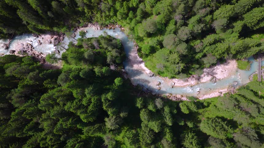 A stunning top-down aerial shot follows a pristine turquoise river as it winds through a dense, vibrant green pine forest