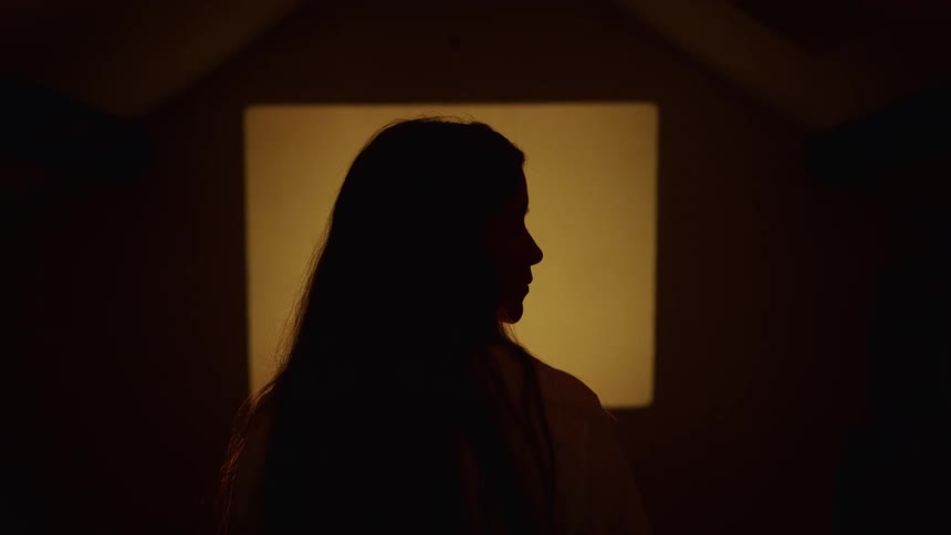 Cinematic silhouette of a woman with long hair standing in a dark room against a projected light