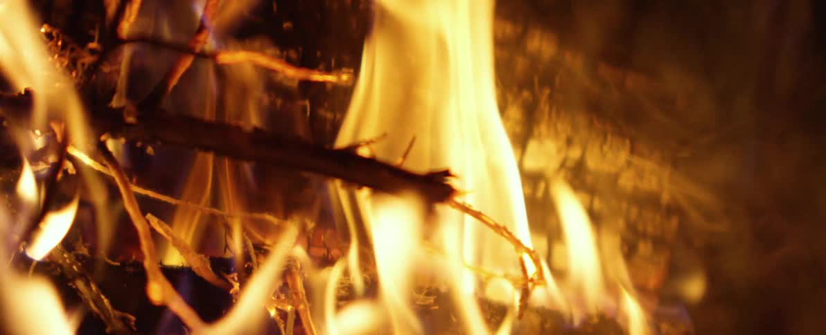 A mesmerizing close-up of a warm bonfire shows flames flickering in slow motion
