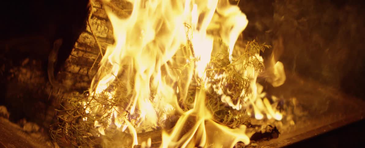 Evergreen cedar boughs burn in slow motion over logs in a warm and mesmerizing campfire at night