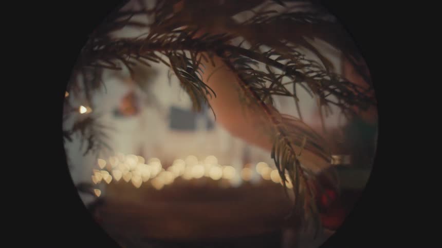 A unique fish-eye POV from inside a Christmas decoration box as a young girl joyfully pulls out a festive pine branch