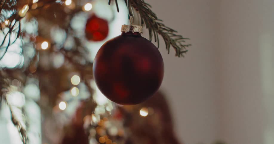 A hand carefully lifts a red Christmas ornament from a fragile box and hangs it on a tree with twinkling lights