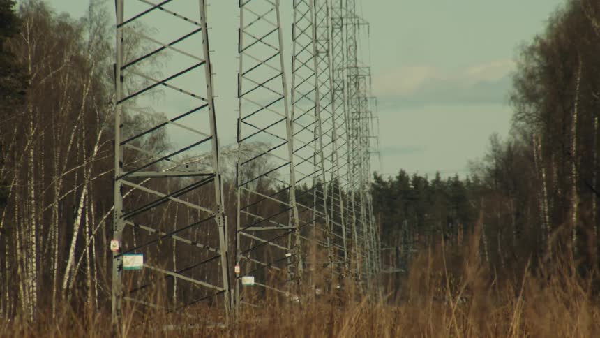 A long line of electricity pylons cuts through a forest clearing with dry grass in the foreground