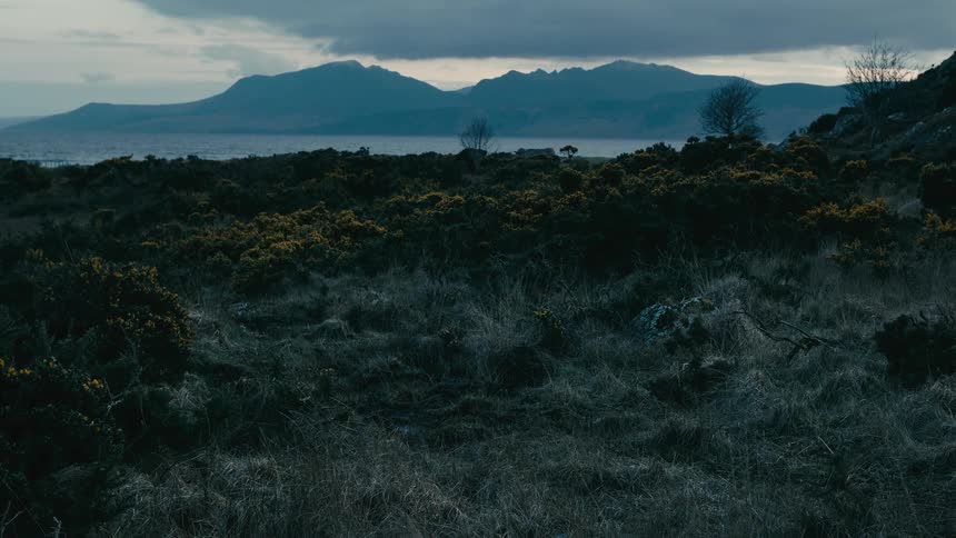 A dramatic and moody landscape of the rugged Scottish coastline, with wild gorse and grass overlooking the sea and mountains under an overcast sky