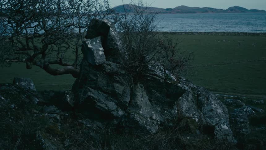 A rocky outcrop and leafless tree on a dark, moody coastline with a green field and sea in the background