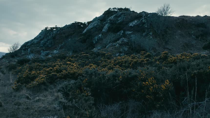 A moody and overcast view of a rocky hill covered in dark green and yellow gorse bushes