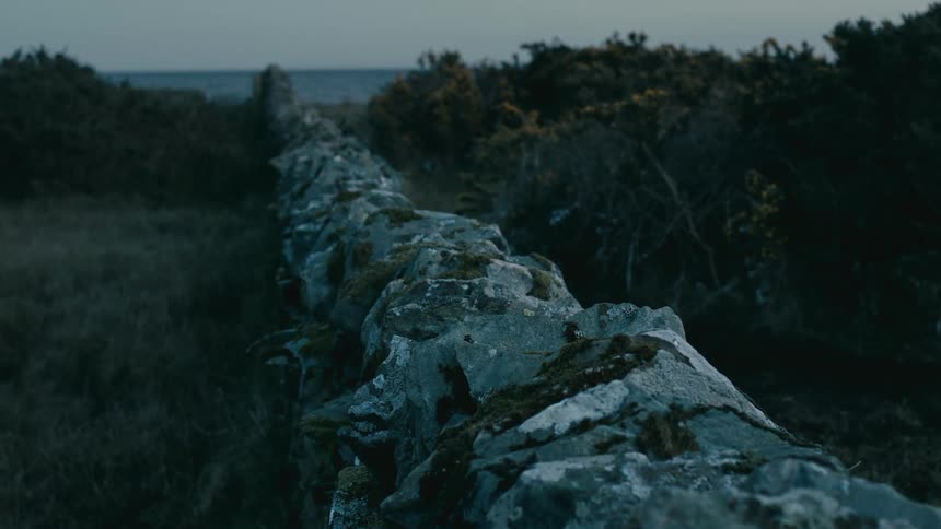 An old, weathered stone wall covered in moss leads through a wild, grassy field toward the ocean at twilight