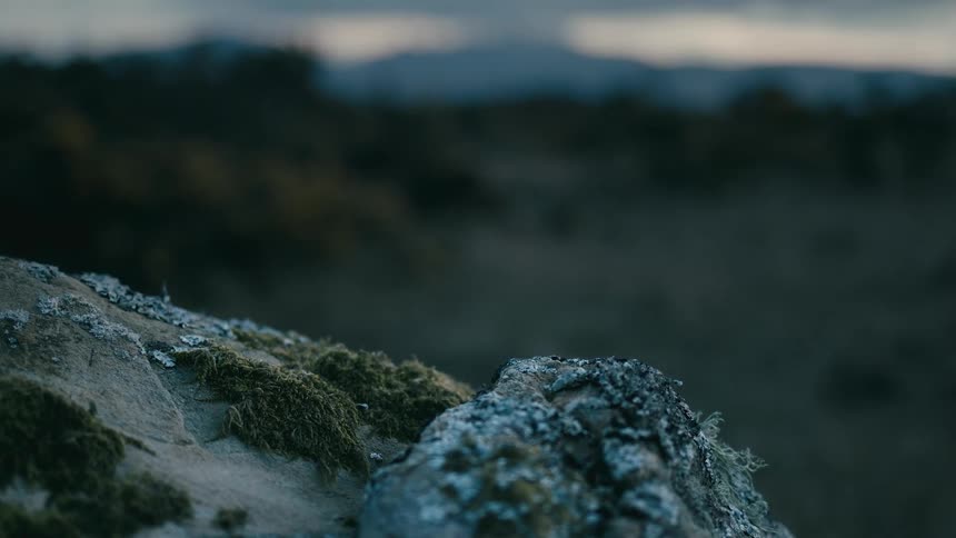 A close-up view of moss and lichen on a rock with a blurry mountain landscape at twilight