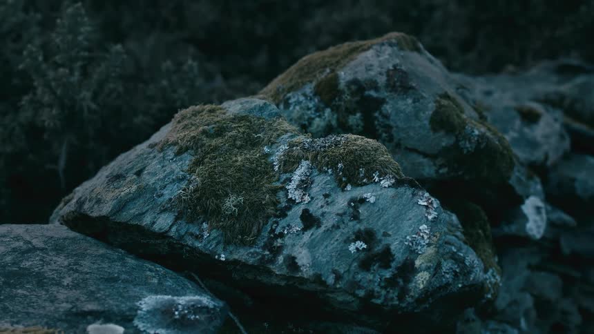 A close-up, static shot of an old stone wall covered in green moss and lichen in the cool evening light