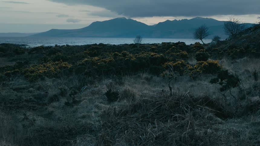 A moody coastal landscape features wild gorse bushes and distant mountains across the water under a cloudy, overcast sky