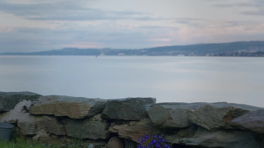 A black and white cat sits peacefully on a stone wall overlooking the calm sea before jumping down and out of frame