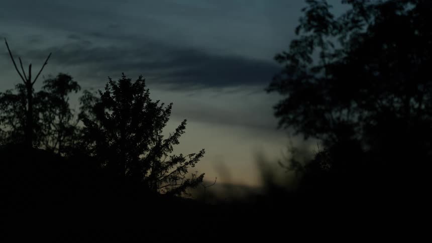 A tranquil static shot of tree silhouettes against the fading light of a dark, moody twilight sky