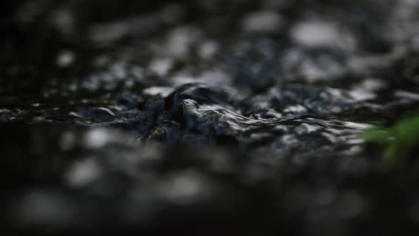 An extreme close-up captures the moody, dark ripples of a gently flowing stream