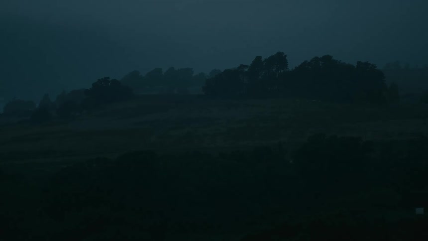 Silhouetted trees stand on a foggy hill in the deep blue twilight
