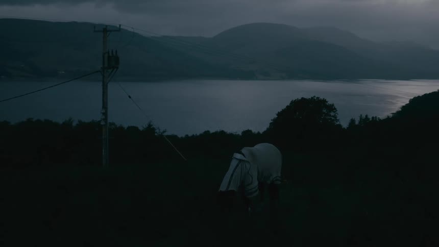 A lone horse wearing a blanket grazes in a dark field overlooking a tranquil loch at dusk