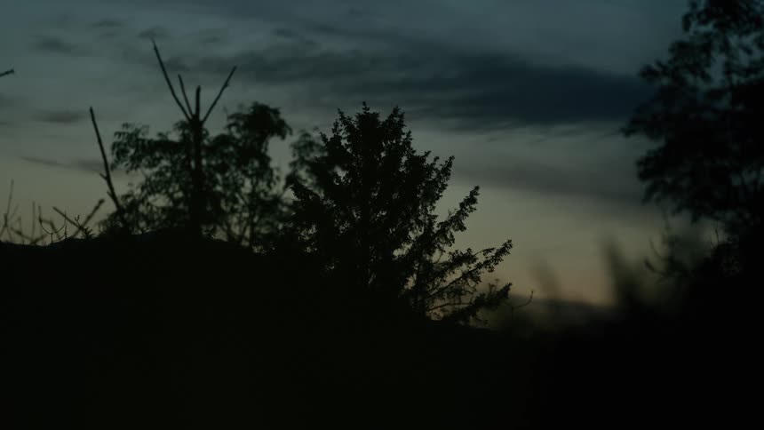 A dark landscape with silhouetted trees against a cloudy sky at dusk