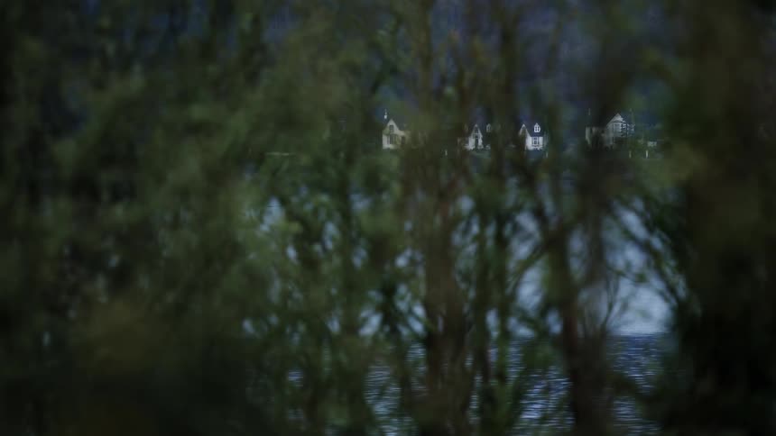 A distant view of white houses on a lakeshore, framed by out-of-focus green foliage in the foreground