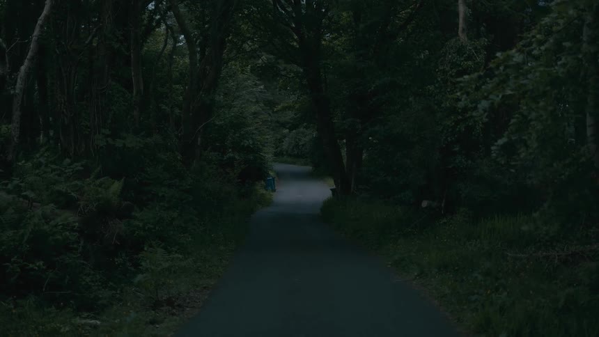 A still shot of a dark and mysterious paved path winding through a dense forest at dusk
