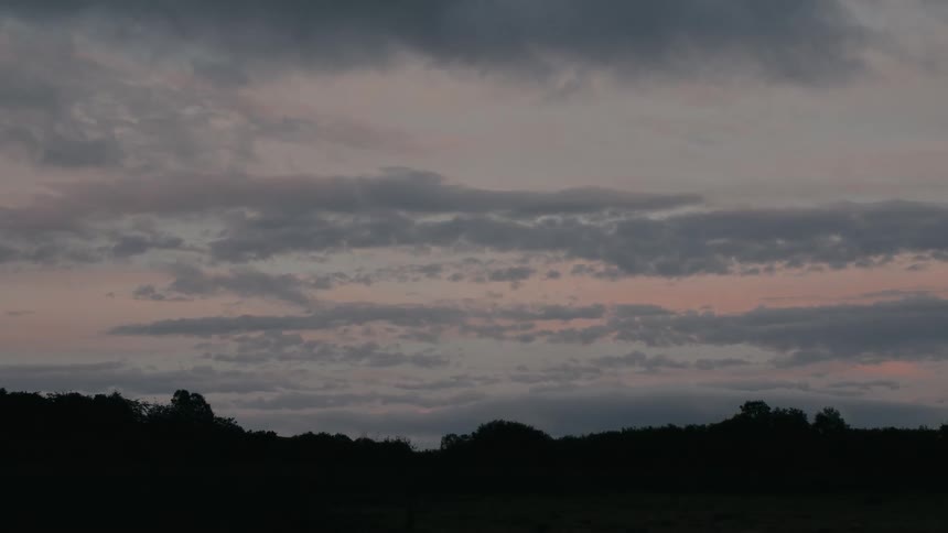 A still shot of a moody twilight sky with pink and grey clouds layered over a silhouetted forest