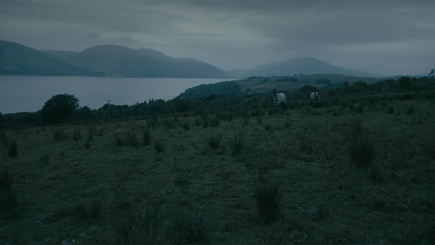 Two white horses stand peacefully in a vast, dark field overlooking a tranquil loch and mountains on a moody, overcast evening