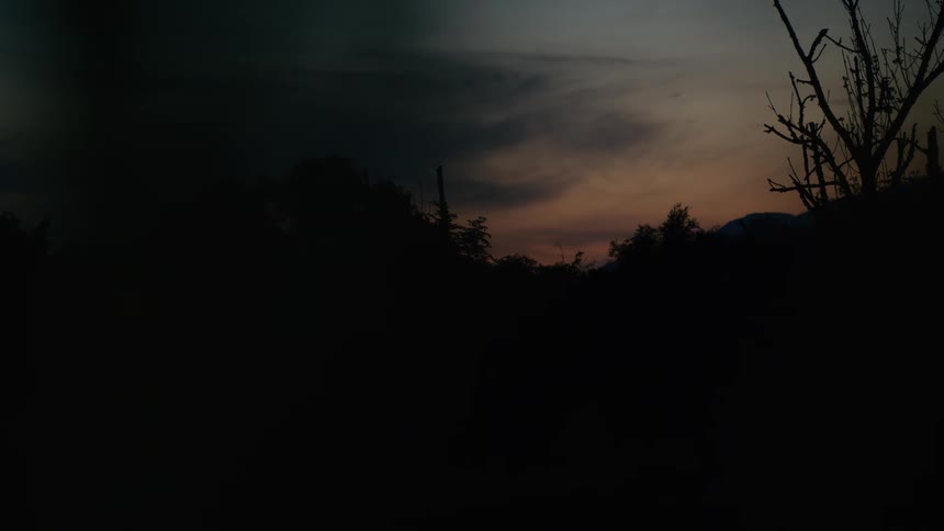 A dark, silhouetted forest landscape stands against the last light of a moody sunset