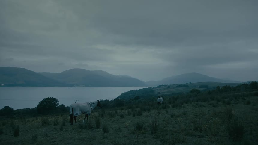 Two horses wearing blankets graze in a moody, green pasture overlooking a misty loch and distant mountains