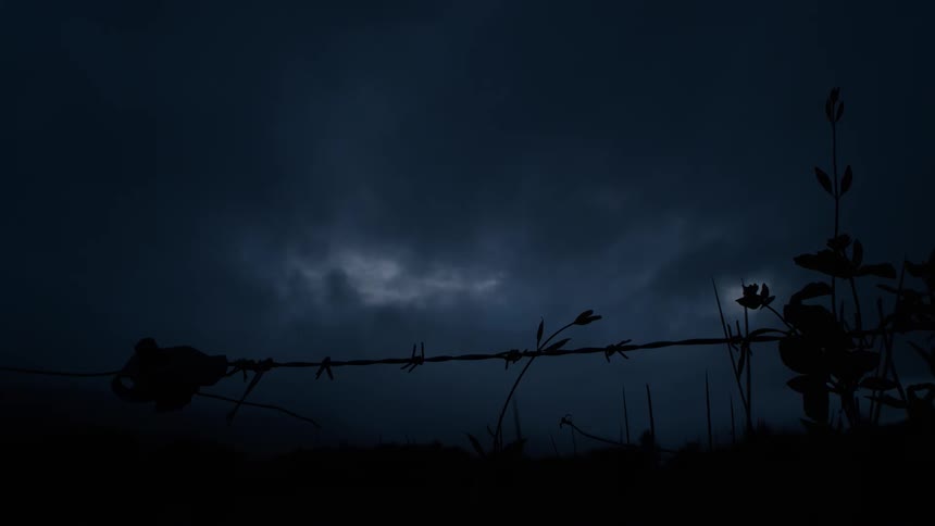 Ominous storm clouds roll in at night over a silhouetted barbed wire fence and plants