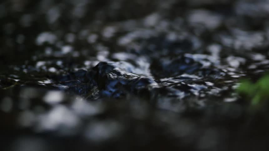 Slow motion macro shot of a peaceful spring, with dark water softly welling up and rippling