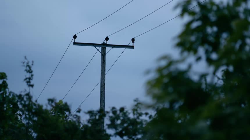 A wooden utility pole stands against an overcast sky at dusk as trees sway in the wind