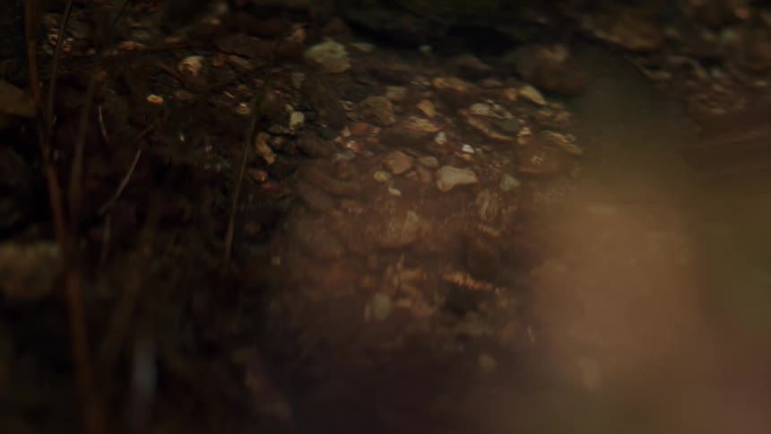 A serene close-up of a shallow creek bed with clear water gently rippling over small rocks and pebbles