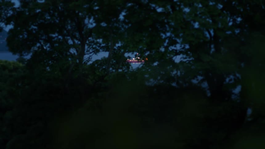A brightly lit boat sails across the water at night as seen through the trees