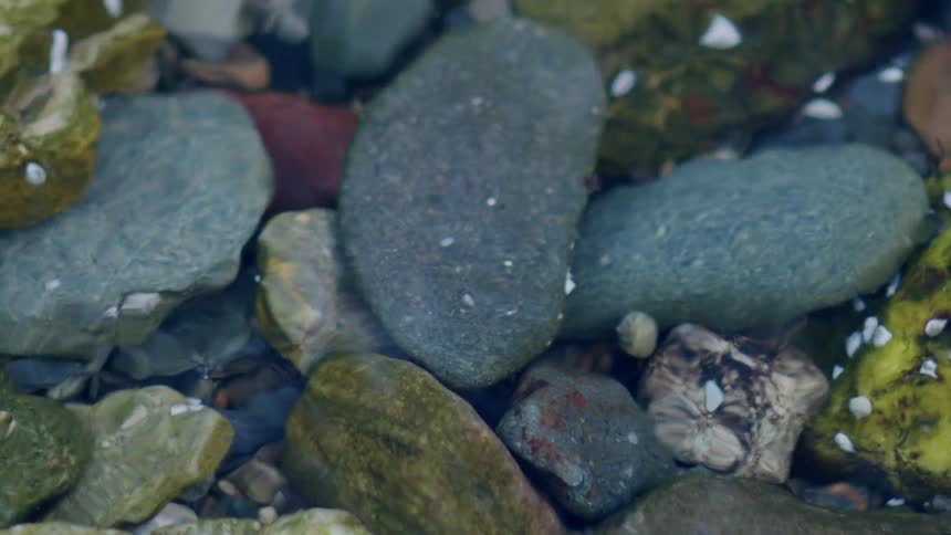 Gentle ripples in clear water flow over a bed of smooth, colorful stones, creating a tranquil scene