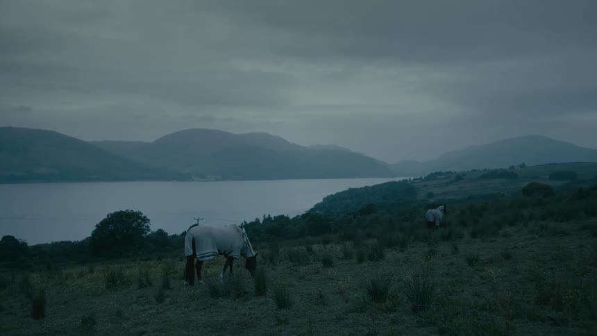 Two horses wearing blankets graze in a tranquil field overlooking a large lake and mountains on a moody, overcast evening