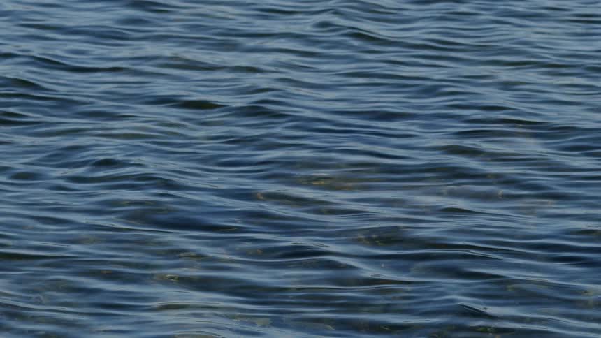 A peaceful close-up of dark blue water with slow-moving ripples and waves