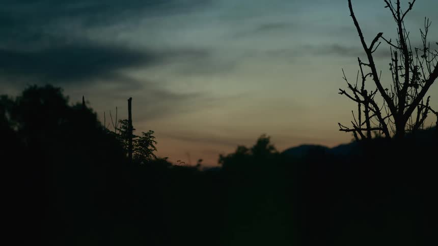 A static shot of a dark, silhouetted landscape with bare trees against a fading twilight sky