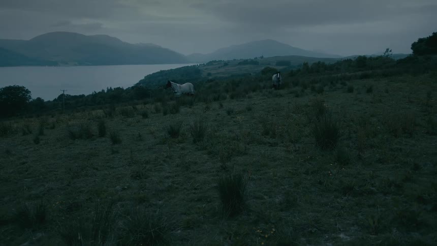 A wide, moody shot captures two horses grazing peacefully on a grassy hillside overlooking a vast lake and mountains at dusk