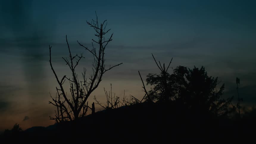 Silhouetted bare trees on a dark hill against a beautiful twilight sky