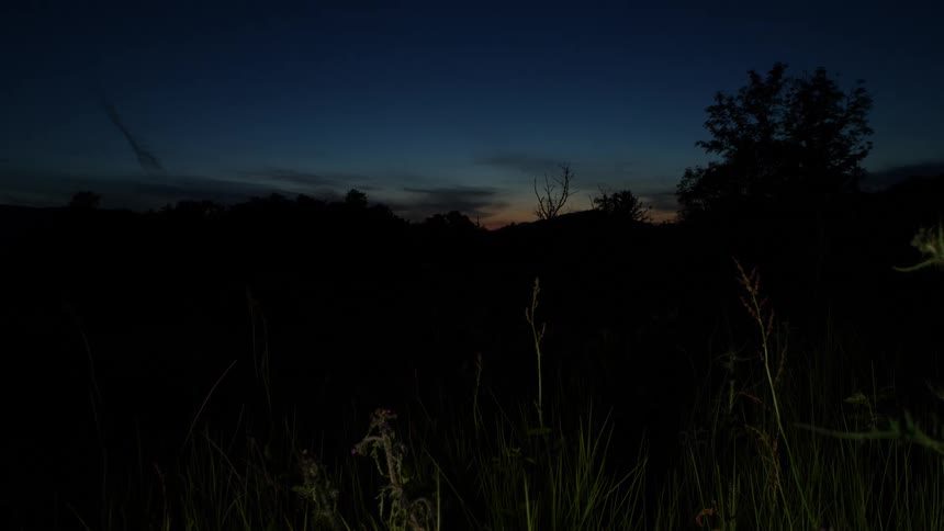 A dark landscape of a field and trees silhouetted against the sky just after sunset