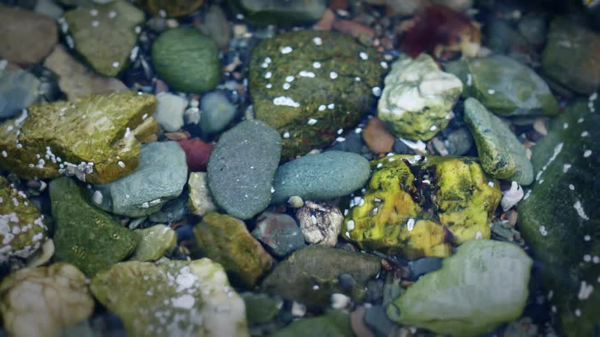 Close up of clear water rippling over colorful, barnacle-covered stones in a shallow tide pool