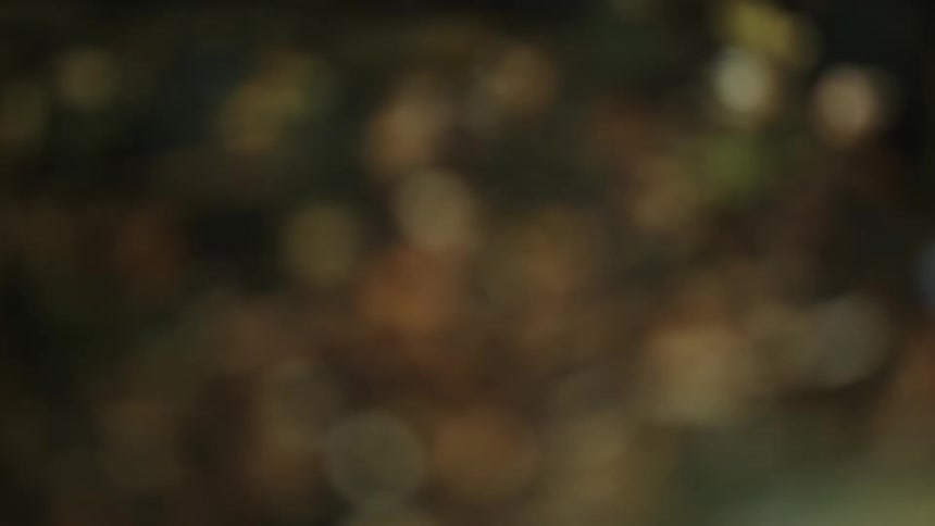 A static out-of-focus background with gentle bokeh lights in earthy tones
