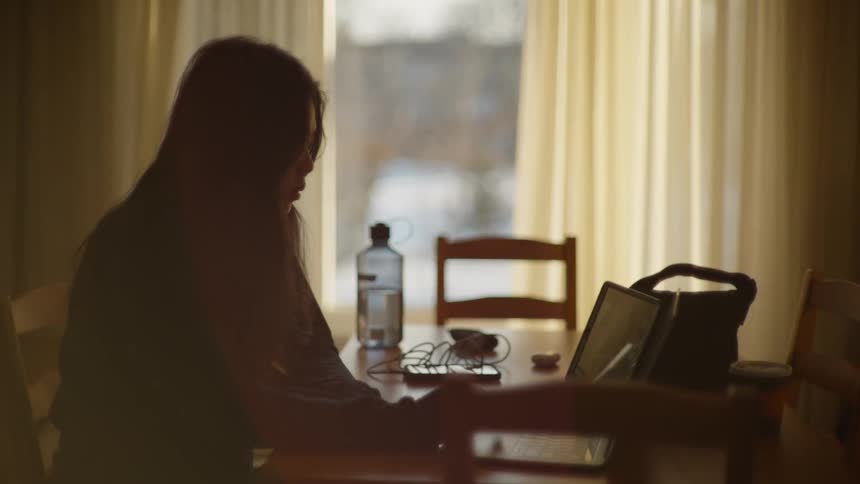 A woman is silhouetted by window light as she works on her laptop at a dining room table