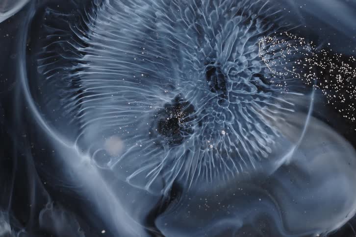 Ethereal and mesmerizing macro shot of a swirling white liquid creating cosmic patterns in dark fluid with glitter