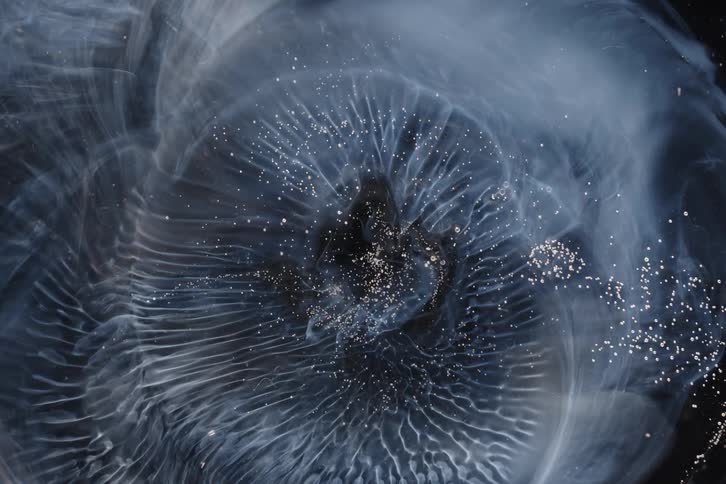 Ethereal white smoke and glittering particles slowly expand and form intricate web-like patterns in a dark fluid