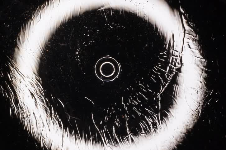 An abstract, hand-drawn fish inside a glowing white circle slowly dissolves and melts away on a black background