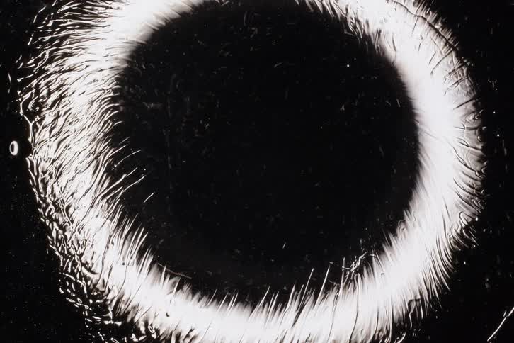 An abstract macro shot of a white feathery crystalline ring slowly forming and freezing against a black background